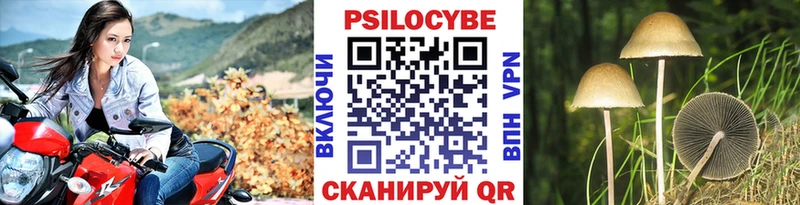 продажа наркотиков  Хадыженск  Псилоцибиновые грибы ЛСД 