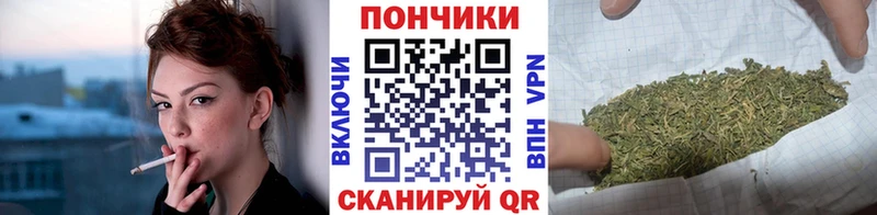 Марихуана план  гидра ссылки  Хадыженск 